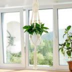 Hanging Planter, Macrame Plant Hanger, Indoor/Outdoor, Large, White, Round, Boho Style