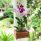Set of 3 Strong Wooden Orchid Baskets with Hangers, Vanda Baskets for Outside - size: Set of 3