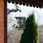 2-Pack Aesthetic Plant Hanger Indoor and Outdoor – 10 Inch Metal Hanging Plant Bracket with Beautiful Bird Pattern – Anti Rust Plant Hooks for Hanging Plants, Bird Feeder, Wind Chime, Lantern