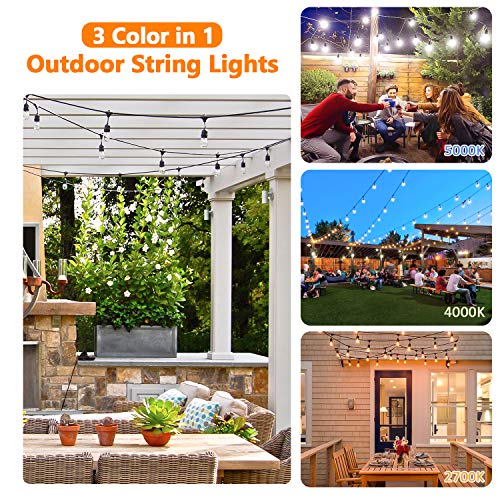 Lakumu 2-Pack 3 Color Dimmable LED Outdoor String Lights for Patio with Remotes, 96FT Waterproof Hanging Lights with Shatterproof Edison Bulbs for Bistro Backyard-Warm White/Neutral White/Daylight - color: Black-2700K/4000K/5000K, size: 96FT(48FT*2)