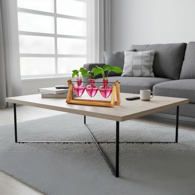 XXXFLOWER Plant Terrarium Propagation Stations Unique Gifts for Women Wife Mom Plant Lovers 3 Heart Shaped Vases for Hydroponics Home Garden Office Decor(Plants NOT Included)