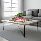 XXXFLOWER Plant Terrarium Propagation Stations Unique Gifts for Women Wife Mom Plant Lovers 3 Heart Shaped Vases for Hydroponics Home Garden Office Decor(Plants NOT Included)