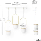 Umbra Triflora Hanging Planter for Window, Indoor Herb Garden, Set of 3, White/Brass