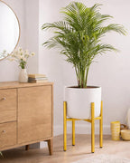Gold Metal Plant Stand for Indoor Plants, Adjustable Heavy Duty Plant Stand Fits 8-14 Inch Pots, Modern Brass Flower Pot Holder with Anti-Scratch Feet, Mid Century Indoor Plant Stand
