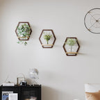 3 Pack Solid Wood & Heavy Duty Metal Wall Plant Stands,9 inch Natural Wood Shelf, Boho Arch Hanging Planter for Indoor 25 LB Load for Plants, Flowers, Herbs Coffee
