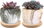 6pcs 3 inch Bamboo Round Plant Saucer, Mini Flower Pot Tray for Cactus Plant Pot Flower Pot Container Planter Bonsai Pots,no Plants Pot