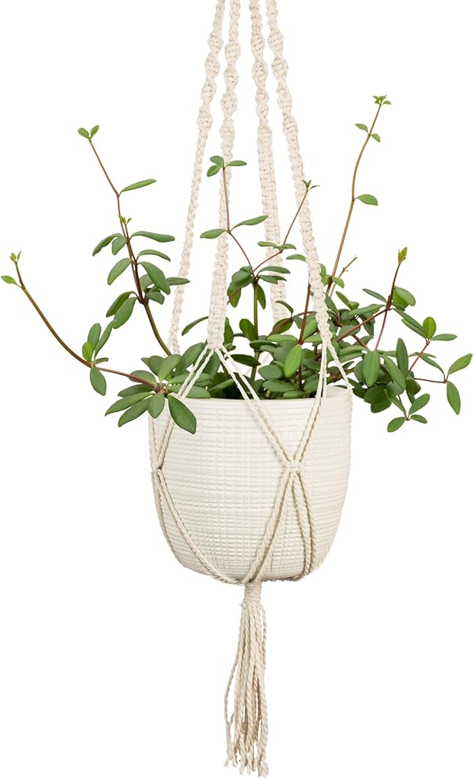 Scheurich Corteza Sky Pimienta Ceramic 6.1" Hanging Planter – with 35.4" Macramé Hanger - Waterproof - Boho Decorative Hanging Basket for Indoor Plants, Succulents&Flowers - Made in Germany - 0.7 gl