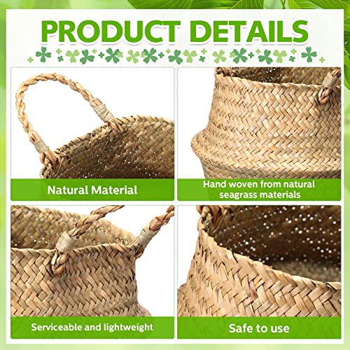 Qunclay 4 Pcs Woven Seagrass Baskets Belly Basket Folding Boho Natural Plant Pot with Handles Round Decorative Wicker Large Indoor Planter for Home Outdoor Tree Planters Decor (M,8.46''dx8.66''h) - size: M,8.46''Dx8.66''H