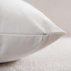 Throw Pillow Covers 22x22 Ivory White: Pack of 2 Cozy Soft Velvet Square Modern Luxury Decorative Throw Pillow Cases for Sofa Couch Living Room Bed Home Decor