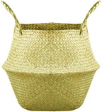 Newooh Craft Small Seagrass Belly Basket for Storage, Laundry, Picnic and Woven Straw Beach Bag - Plant Pots Cover Indoor Decorative