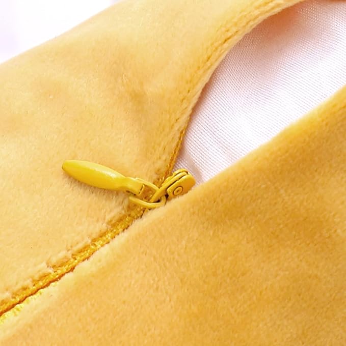 NiNi ALL Decorative Throw Pillow Covers Velvet 22x22 Inch Pack of 2 Yellow Cushion Covers Soft for Couch Sofa Bedroom Living Room Outdoor