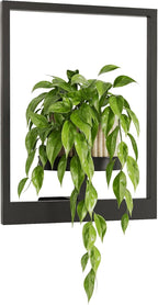 Bamworld Plant Stand Indoor Wall Decor Metal Plant Hanger Indoor Hanging Plant Holder Wall-Mounted Planters Outdoor Plant Rack Black 1 Pack (Patent Design)