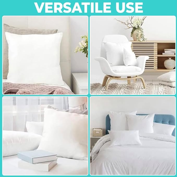 18 x 18 Throw Pillow Insert - Pack of 2 White, Down Alternative Pillow Inserts for Decorative Pillow Covers, Throw Pillows for Bed, Couch Pillows for Living Room (Pack of 2)