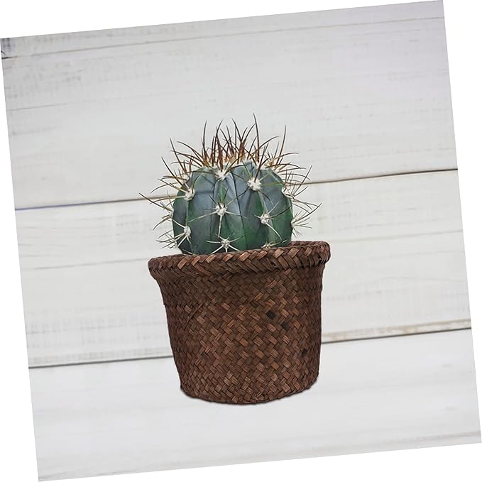 1pc Woven Storage Basket Bins for Toys Rattan Laundry Bin Wicker Trash Basket Indoor Plants Plant Shelf Indoor Wicker Plant Pot Brackets Vase Hanging Flowerpot Seaweed Liner French