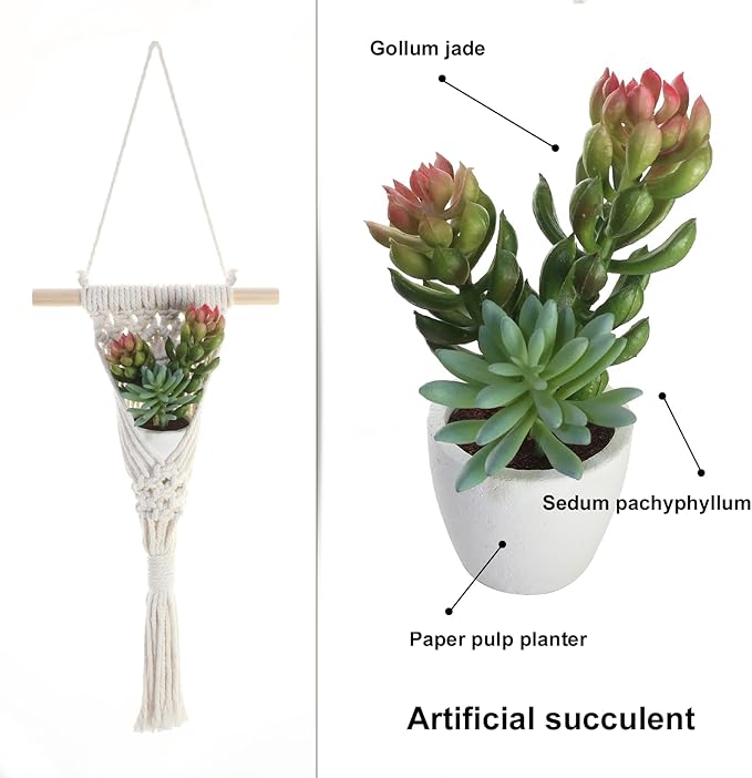 Macrame Wall Hanging with Artificial Succulent Plants, White Cotton Rope, Wooden Dowel, Boho Wall Decor (Succulent 1pcs)