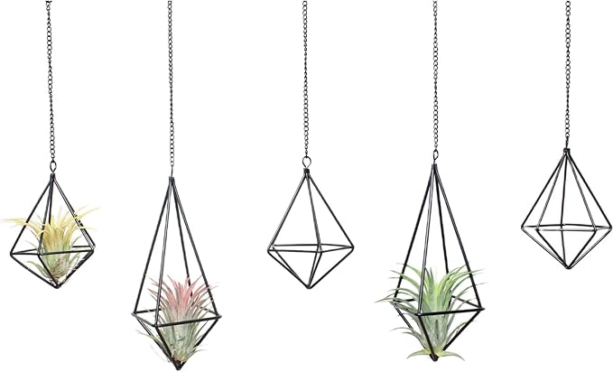Tillandsia Air Plant Holder Black Geometric Hanging Air Plant Holders Unique for Wall Decor Xerographica Air Plant Hanger for Indoor Decor Himmeli Geometric Decor (5Pcs)