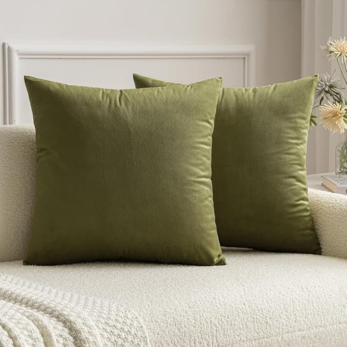 MIULEE Velvet Throw Pillow Covers 16x16 Inch, Pack of 2 - Light Olive Green, Soft Solid Decorative Pillow Covers Cushion Cases Modern Luxury Home Decor for Spring Couch Sofa Bedroom Livingroom