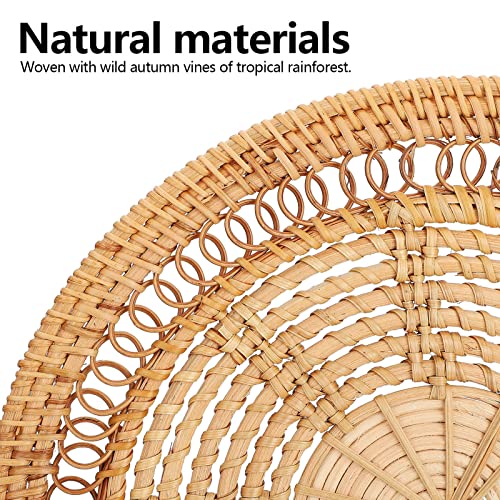 Wall Basket Decor, Boho Handmade Hanging Wall Baskets, Woven Seagrass Rattan Wall Decor, Flat Round Handcrafted Wall Decor for Coastal Art Bedroom Living Room Farmhouse home(Rattan circle 25cm) - color: Rattan circle 25cm