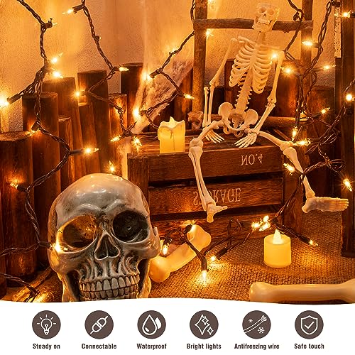 YOUNGAR 13FT 50 Clear Christmas Lights Outdoor, Approved Christmas Tree Lights with Brown Wire, Incandescent Mini Light Plug in for Indoor Outdoor Tree Patio Garden Xmas Decor - color: Warm White, Brown Wire, size: 50 Count 1Pack