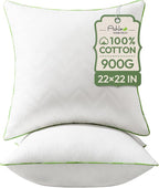 Ashler Throw Pillow Inserts (Pack of 2, White), 22 x 22 Inches Pillow Inserts with 100% Cotton Cover, Indoor Decorative Pillows Inserts for Couch Sofa and Bed