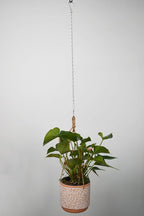 Chain for Hanging Plants,21 Inch Silver Hanging Chain, Small Hanging Basket Chain Kits with Hooks for Bird Feeder Hanging Basket Extender Porch Wind Chime (Silver, 21 Inch-6PCS)