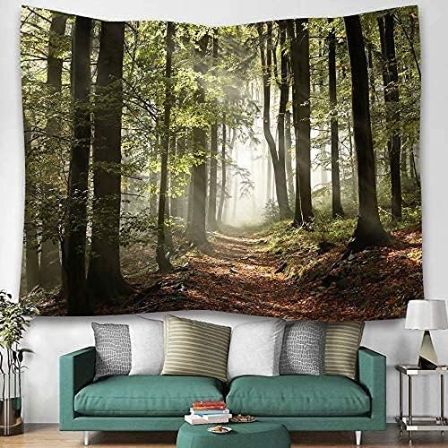 DZGlobal Forest Pathway in the Misty Mountain Tapestry Wall Hanging Art Nature Landscape Tapestries 60W X 40L Inch Home Decor for Living Room Bedroom Kitchen Dorm Green