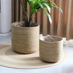 16 inch XLarge Seagrass Woven Planter Basket - Wicker Planter Basket with Plastic Film Insert for Indoor Plants, Large Monstera Pot, Woven Storage Basket, Boho Home Decor (XLarge)