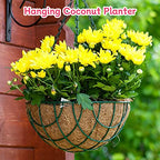 Riare 4 Pack 20 Inch Round Coco Liners Replacement, 100% Natural Coconut Coir Liners for Hanging Baskets, Garden Flower Vegetables Planter Pot, Window Box, Fence, Decks - size: 20inch