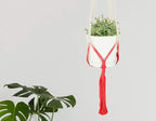 LIVALAYA Macrame Plant Hangers Wall Planter - Red Ombre 48 Inch, for Indoor or Outdoor, 100% Cotton Rope Hanging Plant Holder with Tassel for Flower Pots and Succulents - Modern Boho Home Décor
