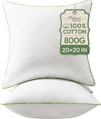 Ashler Home Deco 20x20 Pillows Insert (Set of 2) - Throw Pillow Inserts with 100% Cotton Cover - 20 Inch Square Interior Sofa Stuffer Pillow Inserts -Decorative White Couch Pillow