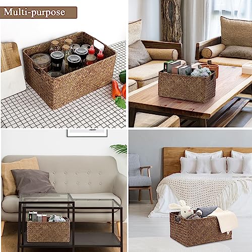 Hipiwe Seagrass Storage Opened Baskets Bin for Shelf Organizing Handwoven Wicker Baskets Rectangular Decorative Basket Closet Bedroom Organizer Bin Box Multipurpose Storage Basket with Handle - color: Coffee, size: Large,14.6"x10.6"x7"