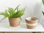 Water Hyacinth & Corn Stalk Woven Plant Basket with Plastic Liner Indoor Rustic Planter Basket for Home Floor Potted Plants Decorative Flower Pot Holder(7.09inch)