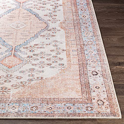 Hauteloom Stella Boho Vintage Area Rug - Farmhouse Traditional Medallion Carpet for Living Room, Bedroom - Machine Washable - Tan, Pink, Peach, Sage, Blue, Cream - 5'3" x 7'3" (5x7) - color: Aqua, Black, Blush / Moora, size: 5'3" x 7'3" (Rectangular)