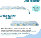 MeMoreCool Cozy Kids Foldable Floor Mattress Mat with Storage Bag, 3-in-1 Tri-Fold Futon Mat, Soft Plush Cover, Portable for Travel, Blue Dinosaur 57x22 Inch