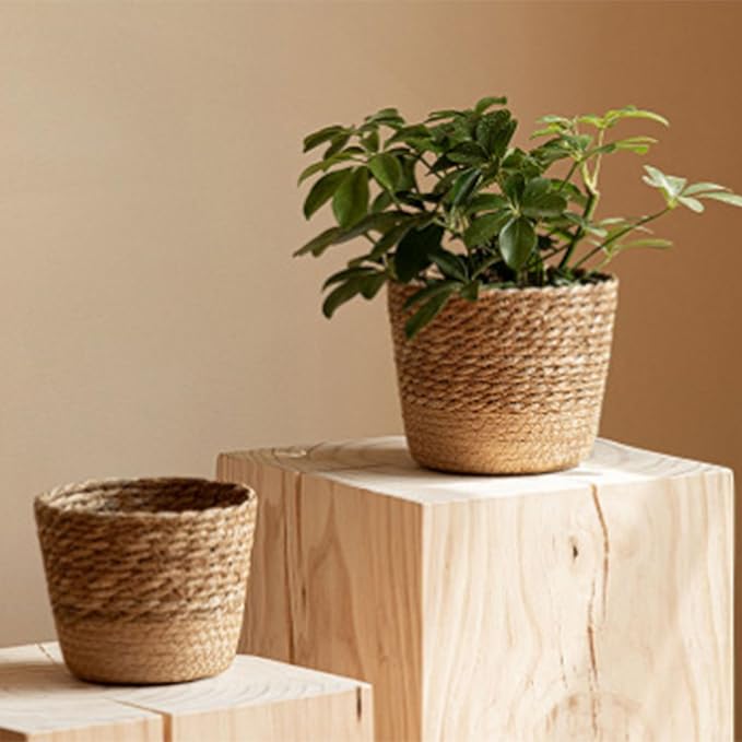 Straw Weaving Plant Basket, Large Basket for Plants Indoor with Plastic Liner, Woven Flower Planters for Water Hyacinth, Garden Home Boho Plant Pots Decoration