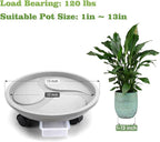 Looca Plant Caddy with Wheels and Drainage Tray, 13”Rolling Plant Stand Flower Pot Mover, Planter Caddies Round Plant Dolly for Heavy Duty Planter, 3 Pack, Bearing 120 lbs (Grey)