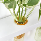 Mkono Plant Propagation Tubes, 3 Tiered Wall Hanging Terrarium with Wooden Stand Test Tube Flower Vase Glass Planter Stations Home Office Decor Plant Lover Gift, White
