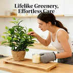16 inch Artificial Peperomia Potted Plant in Woven Basket Planter Lifelike Two Tone Green Leaves Faux Indoor Branches for Home Office Desk Shelf Bathroom Table Decor