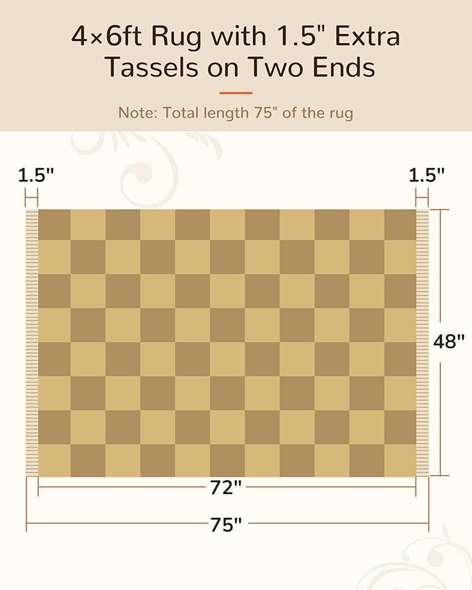 BESTSWEETIE 4'x6' Washable Rug Hand-Woven Low Pile Soft Checkerboard Pattern Reversible Checkered Braided Rugs with Short Fringe Carpet for Living Room Bedroom Dining Room Home Decor - Naturejute