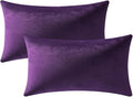 Lumbar Pillow Covers 12x20 Purple: Pack of 2 Cozy Soft Velvet Rectangular Modern Luxury Decorative Throw Pillow Cases for Sofa Couch Living Room Bed Home Decor