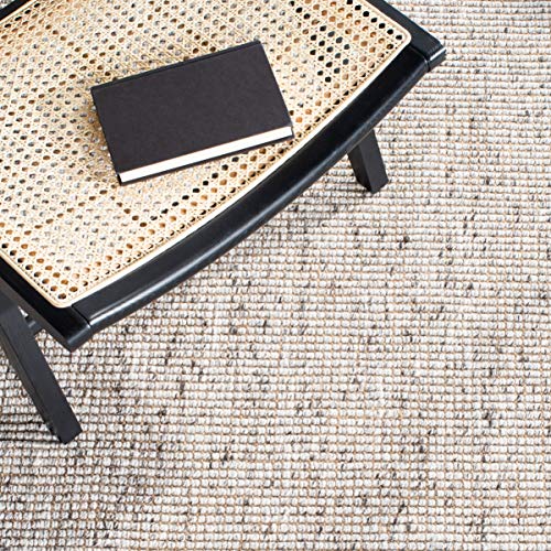 SAFAVIEH Natural Fiber Collection Accent Rug - 2' x 3', Silver & Natural, Handmade Woven Fringe Jute, Ideal for High Traffic Areas in Entryway, Living Room, Bedroom (NF826G) - color: Silver/Natural, size: 2' x 3' (Rectangular)