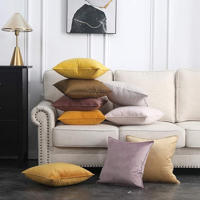 MIULEE Jam Velvet Throw Pillow Covers 20x20 Soft Decorative Solid Square Cushion Cases Pack of 2 Modern Luxury Home Decor for Couch, Sofa, Bedroom