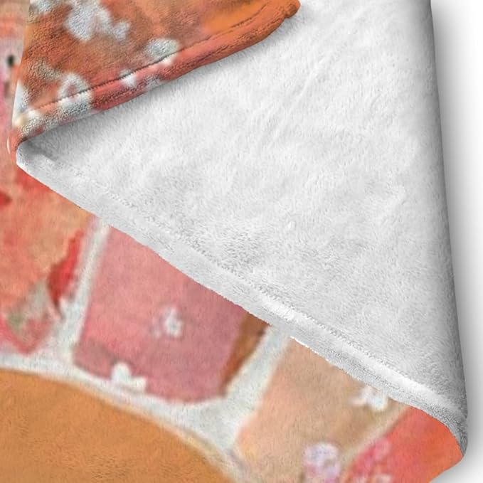 Orange Boho Sun Throw Blanket 60Wx80H Inch Bohemian Minimalist Art Boys Girls Abstract Colorful Flower Aesthetic Blankets Warm Fuzzy Throw Blanket for Sofa Bed Throws Birthday Presents