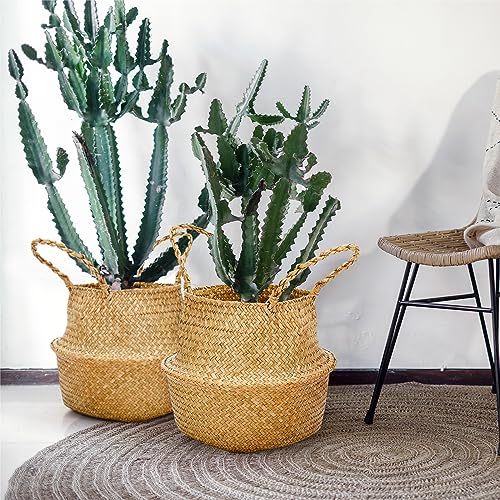 Qunclay 4 Pcs Woven Seagrass Baskets Belly Basket Folding Boho Natural Plant Pot with Handles Round Decorative Wicker Large Indoor Planter for Home Outdoor Tree Planters Decor (L,13''dx11''h) - size: L,13''Dx11''H