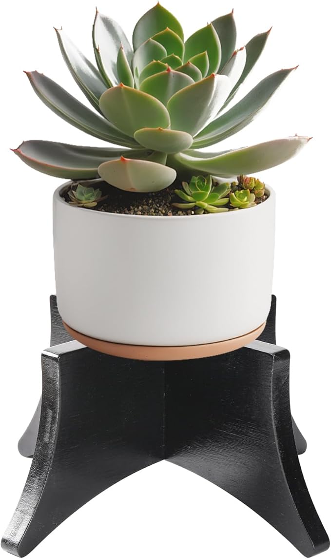 PEKER Plant Stand Indoor, Solid Wood Plant Holder for 5–9 Inch Pots, Low Planter Stand & Plant Riser for Indoor Plants, Stable Pot Stand for Home Decor, Single Wooden Plant Holder