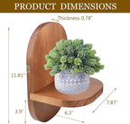 ARTORA Wall Mounted Plant Holder, Wooden Flower Pot Wall Hanging Shelf Black Indoor Outdoor Decorative Floating Shelves Planter Hanger Racks for Wall Bedroom Living Room Porch Balcony Decor (1 Pack)