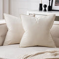 MIULEE Cream White Velvet Throw Pillow Covers 24x24 Soft Decorative Solid Square Euro Sham Cushion Cases Pack of 2 Modern Luxury Home Decor for Couch, Sofa, Bedroom