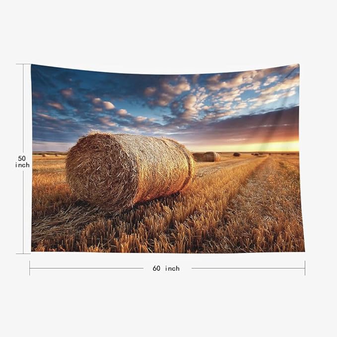 EMMTEEY Fall Tapestry Farmhouse Field Straw Nature Tapestry 60X50 Horizontal Wall Art for Bedroom Living Room Fall Backdrop
