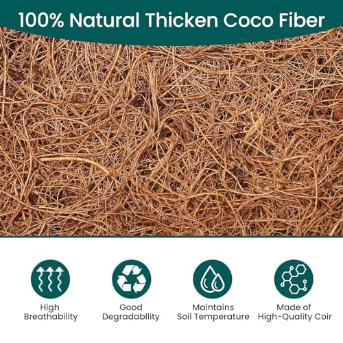 6 Pcs 8inch Coconut Fiber for Plants Round Hanging Basket Liner Wall Planter Insert Replacement Coco Coir Liner for Window Box, 100% Natural Coconut Fiber Fence Flower Baskets Pot (6, 8 inch) - size: 8 inch