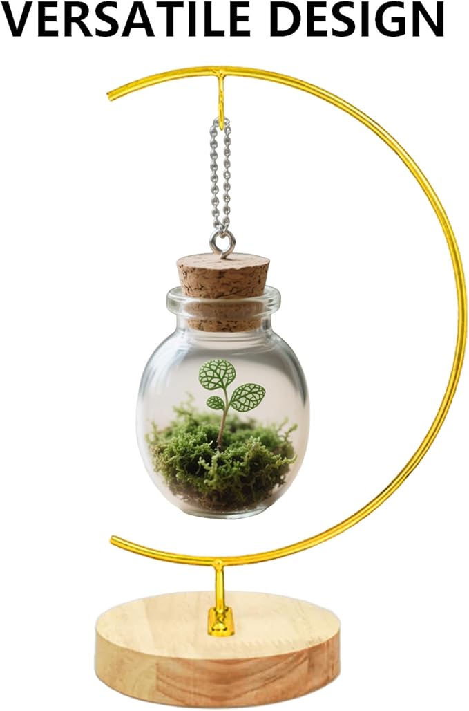 YY YEARCHY Awesomes Terrarium Ornament Display Stand Metal Stand Air Plant Stand Flower Pot Stand Holder Iron Pothook Stand for Hanging Glass Terrarium Globe Ball (1, Bright Gold)